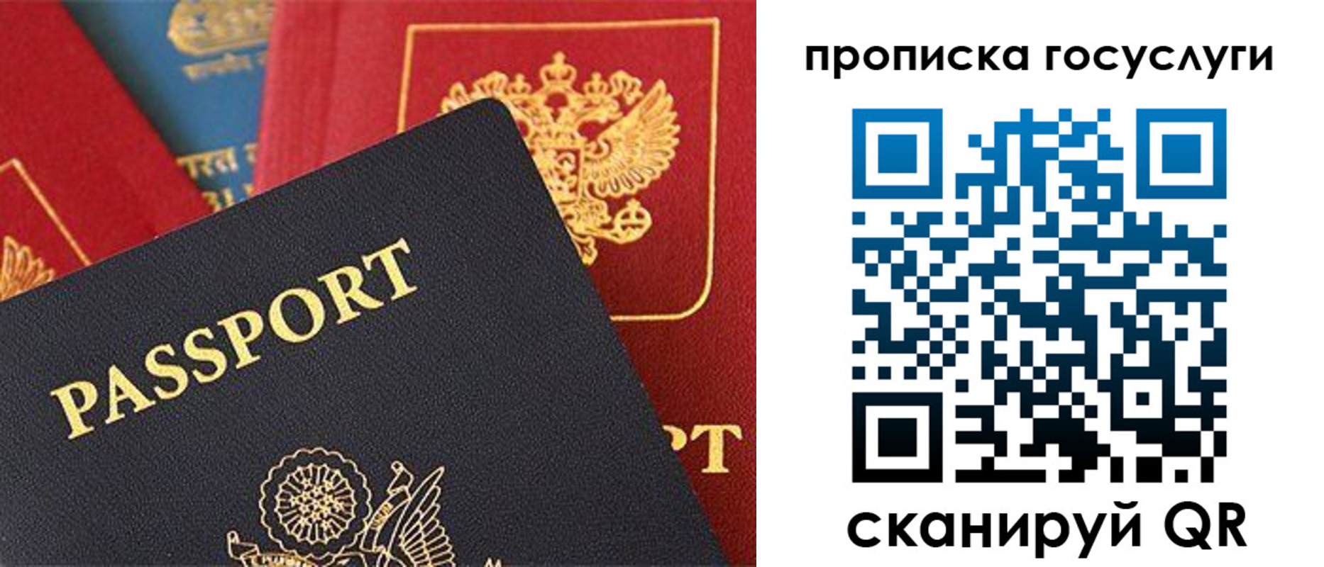 где прописаться в Воронежской области